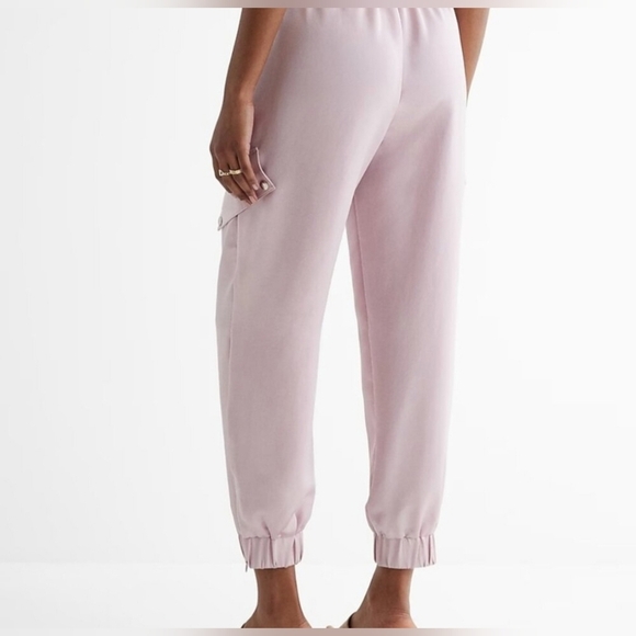 Express Pink Jogger Pants (NWOT) - Picture 4 of 5